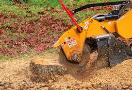 Best Pest Control for Lawns  in Springdale, NJ