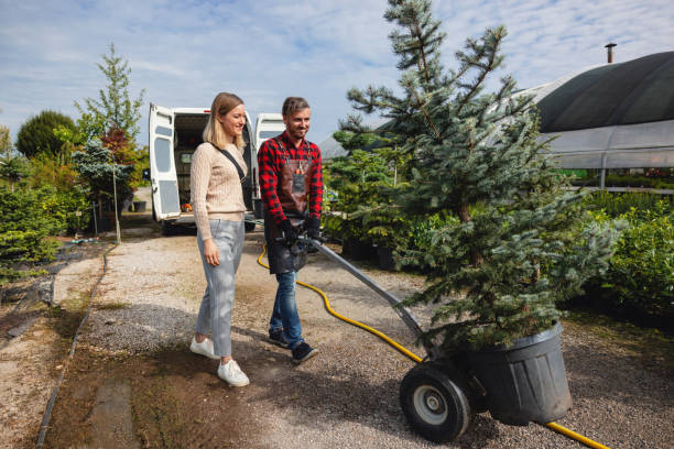Best Aeration Services  in Springdale, NJ